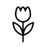 NON-TOXIC 